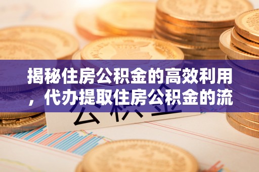 广西揭秘住房公积金的高效利用，代办提取住房公积金的流程与技巧