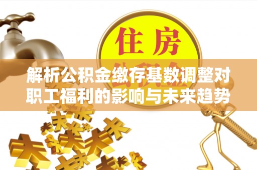 广西解析公积金缴存基数调整对职工福利的影响与未来趋势