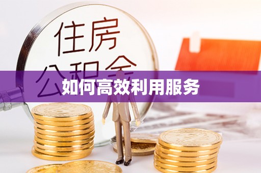 广西如何高效利用服务
