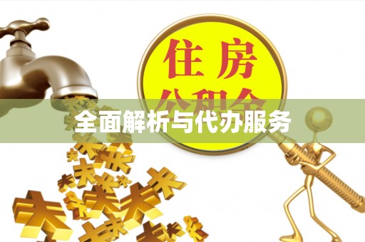 广西全面解析与代办服务