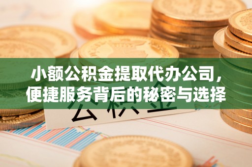 广西小额公积金提取代办公司，便捷服务背后的秘密与选择指南