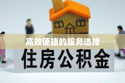 广西高效便捷的服务选择