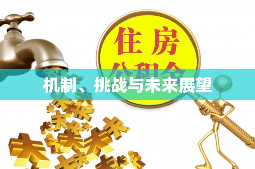 广西机制、挑战与未来展望